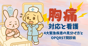 胸痛の対応と看護｜もう迷わない！4大緊急疾患の見分け方とOPQRST問診術